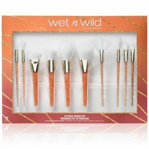 Wet n Wild Pro Brush Collection Set 10 pcs Limited